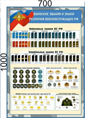 Баннер Воинские звания и знаки различия военнослужащих РФ  700 х 1000мм