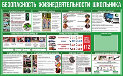 Стенд "Безопасность  жизнедеятельности школьника" 1600 х 1000 пластик 3мм, Карман А4-1шт. (Арт. БШ3) БШ3 - фото 10205
