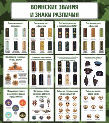 Стенд Воинские звания в вооруженных силах РФ 800 х 900 пластик 3мм 2567 - фото 10288