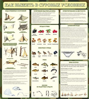 Стенд Как выжить в суровых условиях 900 х 1000 пластик 3мм 2579 - фото 10420