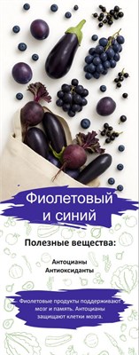 Баннер о пользе овощей и фруктов - Синий и Фиолетовый - 550 х 1420мм ПП15