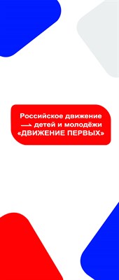 Ролл ап roll up Мобильный стенд "Движение первых" размер 850 х 2000 мм - фото 5708