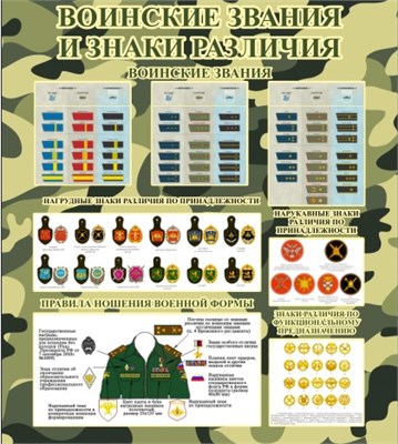 Стенд Воинские звания и знаки различия 800 х 900 пластик 3 мм