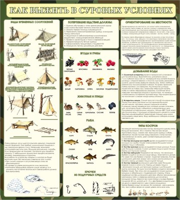 Стенд Как выжить в суровых условиях 900 х 1000 пластик 3мм