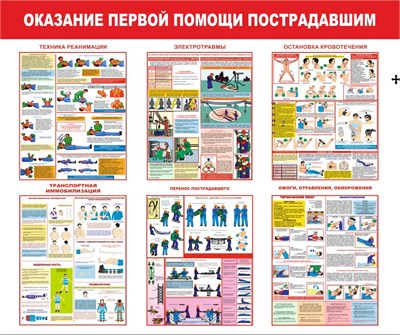 Стенд Оказание первой помощи пострадавшим 1200 х 1000 пластик 3мм