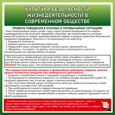 Стенд  Культура безопасности жизнедеятельности в современном обществе 1000 х 1000 пластик 3мм ОБЖ1 - фото 7825