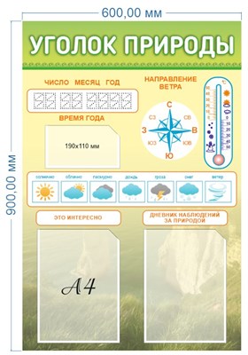Стенд "Уголок природы" 600 х 900 пластик 3мм, карманы А4-2шт.. карман 190 х 110 мм -1шт.