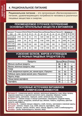 Стенд "Рациональное питание"  формат А2 -594 х 420,  пластик 3мм