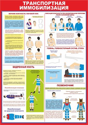 Стенд "Транспортная иммобилизация" формат А2 594 х 420мм, пластик 3мм