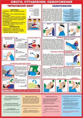 Стенд "Ожоги, отравления, обморожения" формат А2 594 х 420мм, пластик 3мм