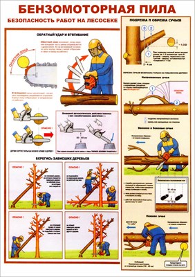 Стенд Бензомоторная пила. Безопасность работ на лесосеке формат А2 594 х 420мм, пластик 3мм