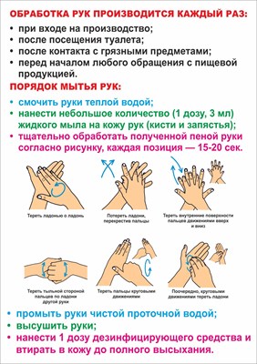 Стенд "Обработка рук" формат А2 594 х 420 мм, пластик 3мм