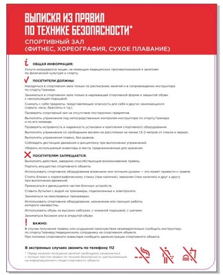 Стенд "Техника безопасности в спортивном зале"  550 х 700 мм, ПВХ-3мм