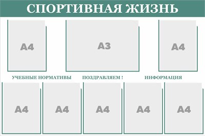 Стенд "Спортивная жизнь" 1200 х 800, пластик 3 мм, карман А4-7шт., карман А3-1шт. (цвет -светло-зелёный)