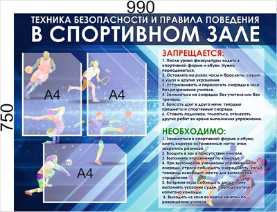 Стенд "Техника безопасности и правила поведения в спортивном зале" 990 х 750, пластик 3 мм, карман А4-3шт.