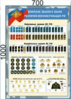 Баннер Воинские звания и знаки различия военнослужащих РФ  700 х 1000мм