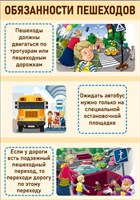 Стенд Обязанности пешеходов 700 х 1000мм, ПВХ-3мм