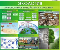 Стенд Экология. Антропогенное воздействие на биосферу 1100 х 900 мм пластик 3 мм Э02