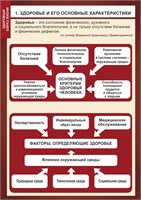 Стенд "Здоровье и его основные характеристики"  формат А2 -594 х 420,  пластик 3мм