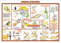 Стенд "Пиление древесины" формат А2 594 х 420 мм, пластик 3мм