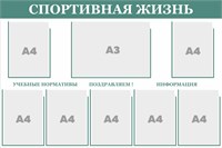 Стенд "Спортивная жизнь" 1200 х 800, пластик 3 мм, карман А4-7шт., карман А3-1шт. (цвет -светло-зелёный)