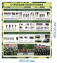Стенд Строевая  подготовка 800 х 900мм, ПВХ-3мм