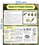 Стенд Мины и ручные гранаты 800 х 900 пластик 3мм