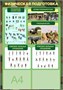 Комплект стендов "Военная подготовка"  700 х 1000 пластик 3мм (8шт.в комплекте), карманы А4-2шт. 2666