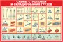 Стенд "Схема строповки и складирования грузов - типы и маркировка стропов" размер 1200 х 800 пластик 3 мм