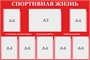 Стенд "Спортивная жизнь" 1200 х 800, пластик 3 мм, карман А4-7шт., карман А3-1шт. (цвет - красный)