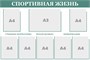 Стенд "Спортивная жизнь" 1200 х 800, пластик 3 мм, карман А4-7шт., карман А3-1шт. (цвет -светло-зелёный)